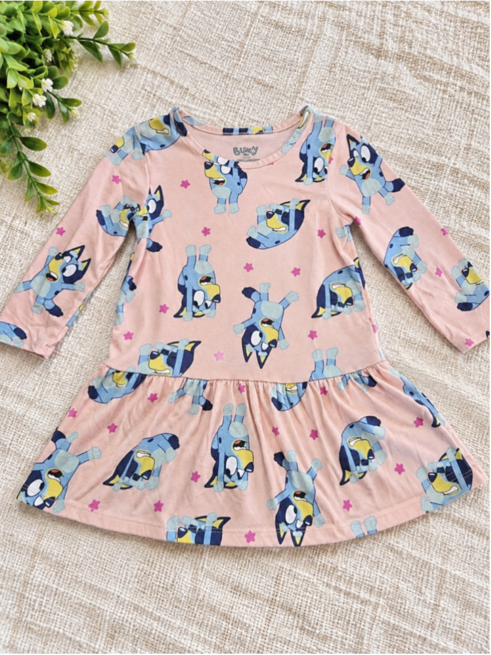 Girls Bluey Casual Dress Size 3T Pink and Blue